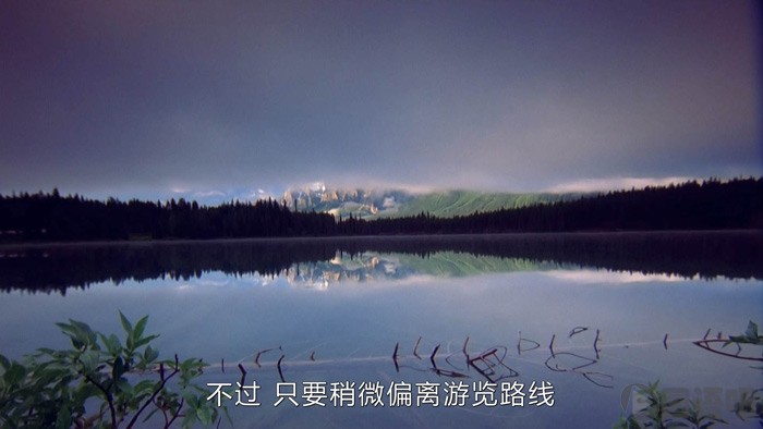 05.jpg